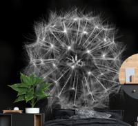 Paardenbloem fotobehang Blowball bloem grijs