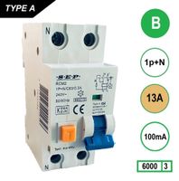 SEP Aardlekautomaat 13A B Kar 100mA 2 polig 36mm RCM2 Kema Keur 230V automaat en aardlek in een