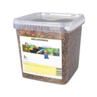 Meelwormen 5 liter - Suren collection