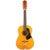 Framus 05/024 Vintage Hootenanny 12-String Tinted High Polish 12-snarige westerngitaar met koffer
