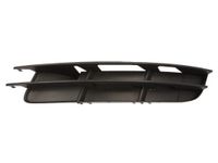 Ventilatiegrille, bumper 6502070040995P