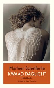 Kwaad daglicht (Paperback)