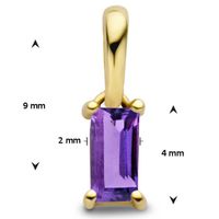 Hanger Geboortesteen Februari geelgoud-amethist paars 9 mm