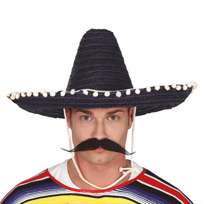 Mexicaanse Sombrero hoed voor heren - carnaval/verkleed accessoires - donkerpaars - met ornamenten