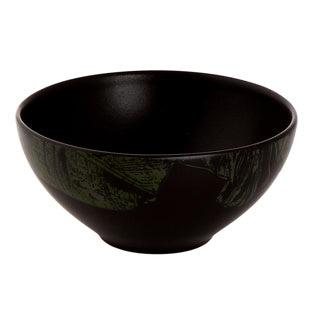 Palmer schaal aurora 11 cm jungle