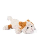HEMA Etui Kat