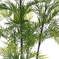 Areca palm Aruba in pot green 180 cm kunstbloem Erutan Avon - Erutan avon