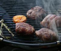 OUTDOORCHEF 14.523.02 buitenbarbecue/grill accessoire Rookchips - thumbnail