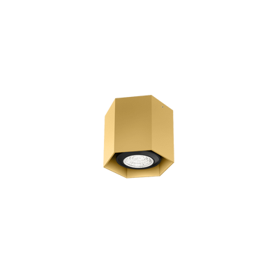 Wever & Ducre - Hexo Mini Ceiling Surface 1.0 PAR16 spot