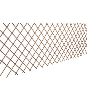 VidaXL Tuinlatwerk 5 st 180x90 cm wilg