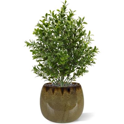 Buxus kunstplant 30cm - UV bestendig