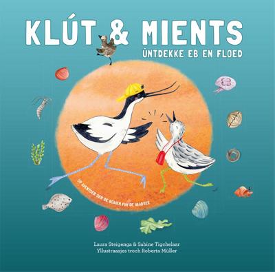 Klút & Mients ûntdekke eb en floed (Hardback)