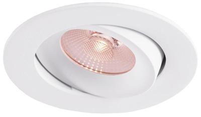 Thorgeon LED inbouwspot 8,2W DimToWarm 96mm rond verstelbaar wit - LED4680