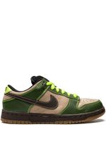 Nike baskets Dunk Pro SB - Vert