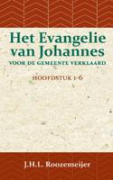 Het Evangelie van Johannes voor de Gemeente verklaard 1 (Paperback)