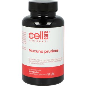 Mucuna pruriens