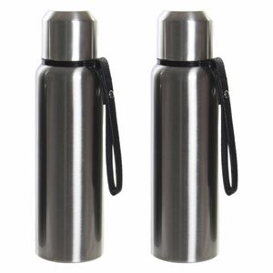 Set van 2x stuks RVS thermosfles/isoleerfles zilvergrijs met schroefdop en zeefje 500 ml