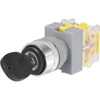 TRU COMPONENTS 704495 Y090-A-11Y/23 Sleutelschakelaar 250 V/AC 5 A uit/aan 1 x 90 ° IP40 1 stuk(s)