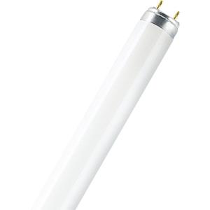 OSRAM TL-lamp Energielabel: G (A - G) G13 15 W Warmwit Buis (Ø x l) 26 mm x 451.6 mm 1 stuk(s)