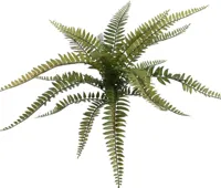 Pure Royal kunstplant boston fern 25cm green