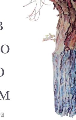 Boom (Paperback)