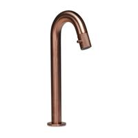 Fonteinkraan Blue Label Viby Facet | Opbouw | Koudwater kraan | Hoog model | 1-hendel | Rond | Geborsteld brons