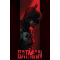 Poster The Batman Out of the Shadows 61x91,5cm - thumbnail