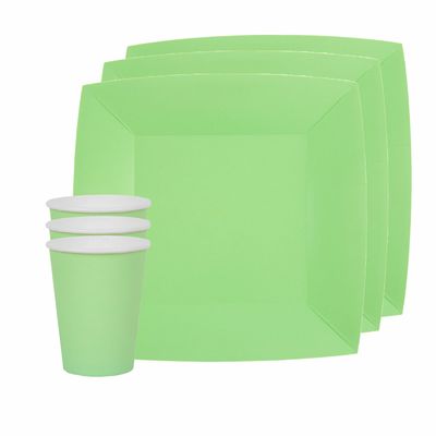 Feest/verjaardag servies set 10x bordjes en bekertjes - mintgroen - karton