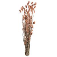 Droogbloemen Phalaris - roze - 76 cm - Leen Bakker - thumbnail