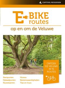 E-bikeroutes op en om de Veluwe - Ad Snelderwaard - ebook