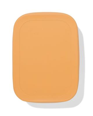 HEMA Lunchbox 18.9x14.3x5.8cm Rvs Bruin