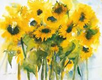 Kunstdruk Christa Ohland - Sonnenblumenfeld 120x90cm