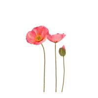 Klaprozen Kunsttak 76cm Roze