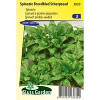 Spinazie zaden Breedblad Scherpzaad - thumbnail