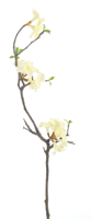 Weigelia flower branch cream 110 cm kunstbloem - Nova nature