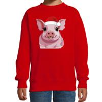 Kersttrui / sweater boerderijdieren - kinderen - Varken - rood - kerstmuts - Kerstmis
