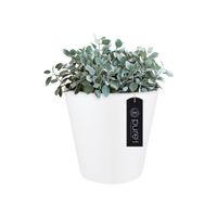 elho pure straight round 65 Binnen/buiten Plantenpot Vrijstaand Lineaire lagedichtheidpolyetheen (LLDPE) Wit - thumbnail