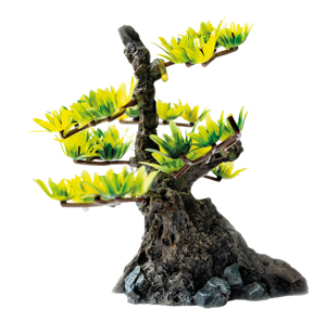 Deco Bonsai Xs