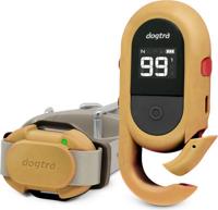 Dogtra IQ Flex trainingsband - Beige