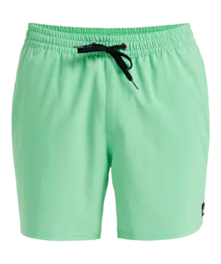 Quicksilver Surfsilk Scallop 16" Zwembroek