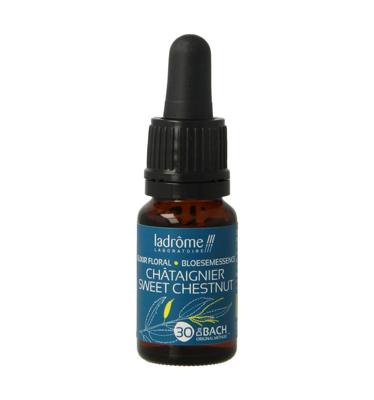 Sweet chestnut / tamme kastanje bio