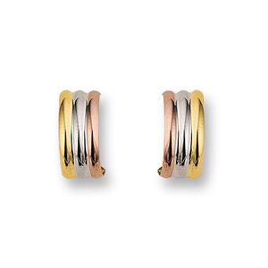 Huiscollectie 4300062 Gouden oorbellen