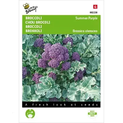 Broccoli Summer Purple