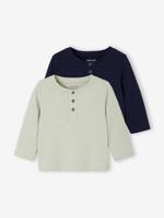 Lot 2 tunische Basics baby's longsleeve shirts groengrijs