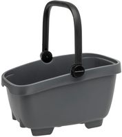 Newlooxs New looxs baskets clipper anthracite