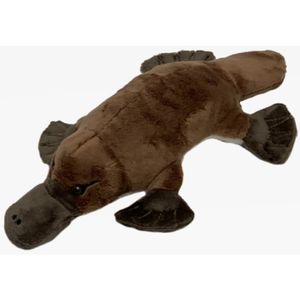 Pluche knuffel vogelbekdier bruin 28 cm