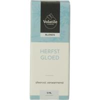 Volatile Herfst winter mix