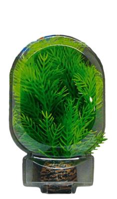 Superfish easy plant laag 13 cm nr. 9 - Superfish