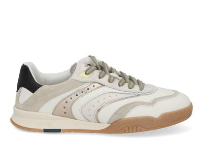 VIA VAI Kris pax 62390 tortuga bianco Wit maat 41