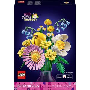 10347 LEGO® ICONS™ Kleine zomerbout